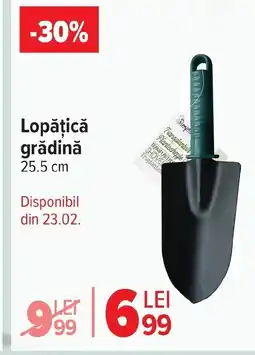 Carrefour Market Lopǎțică grădină Ofertă