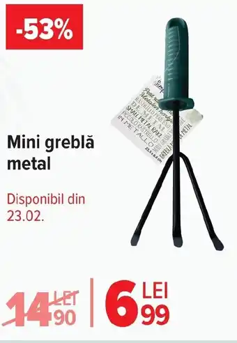 Carrefour Market Mini greblǎ metal Ofertă
