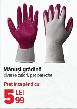 Carrefour Market Mănuşi grădină Ofertă