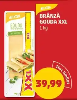 Penny Brânză Gouda XXL Ofertă