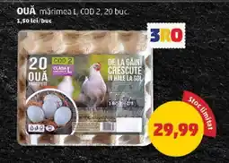 Penny Ouă mărimea L, COD 2, 20 buc Ofertă