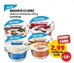 Penny Budincă cu orez Ofertă