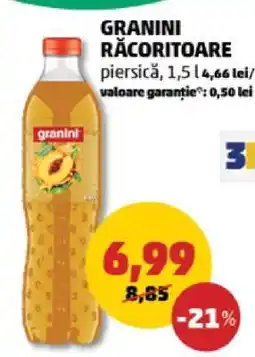 Penny GRANINI RĂCORITOARE Ofertă