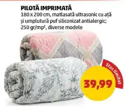 Penny Pilotă imprimată Ofertă