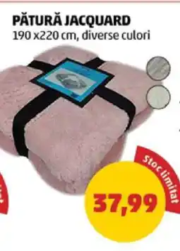 Penny PĂTURĂ JACQUARD Ofertă