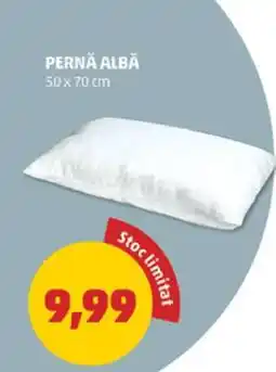 Penny PERNĂ ALBĂ Ofertă