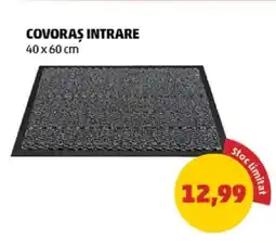 Penny Covoraș intrare Ofertă