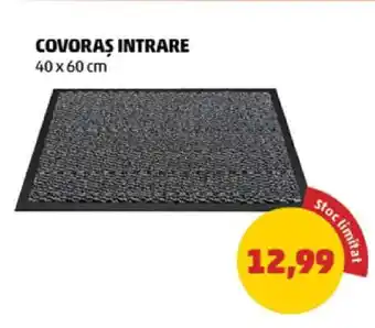 Penny Covoraș intrare Ofertă