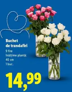 Lidl Buchet de trandafiri Ofertă