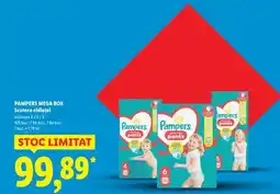 Lidl PAMPERS MEGA BOX Scutece chiloțel Ofertă