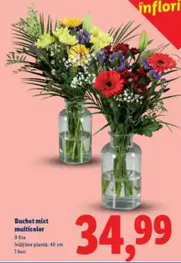Lidl Buchet mixt multicolor Ofertă