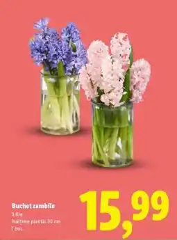 Lidl Buchet zambile Ofertă