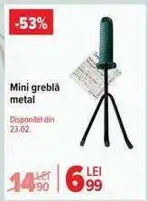 Carrefour Mini greblă metal Ofertă
