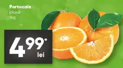 PROFI Portocale plasă Ofertă
