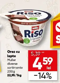 PROFI Orez cu lapte Muller Ofertă