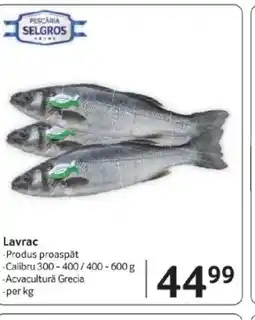 Selgros Lavrac Ofertă