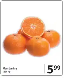 Selgros Mandarine Ofertă