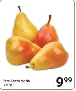 Selgros Pere Santa Maria Ofertă