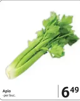 Selgros Apio Ofertă