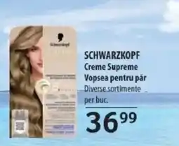 Selgros SCHWARZKOPF Creme Supreme Vopsea pentru păr Ofertă
