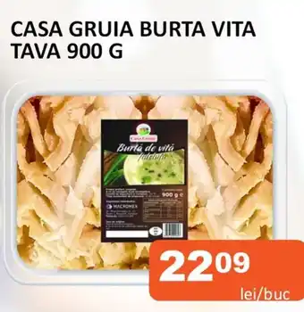 Casa gruia burta vita tava