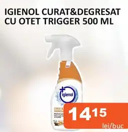 Unicarm Igienol curat&degresat cu otet trigger Ofertă