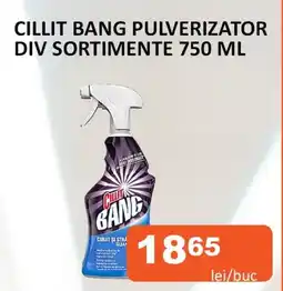 Unicarm Cillit bang pulverizator div sortimente Ofertă