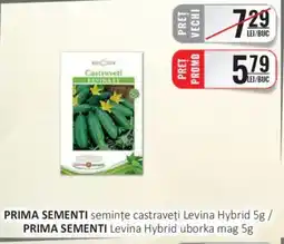 CBA PRIMA SEMENTI semințe castraveţi Levina Hybrid Ofertă