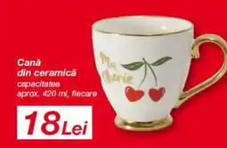 Kik Canǎ din ceramică Ofertă