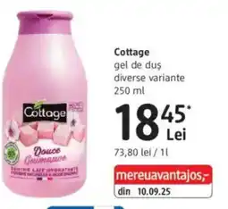 DM Cottage gel de duş Ofertă