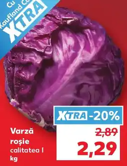 Kaufland Varză roşie Ofertă