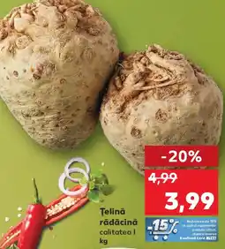 Kaufland Ţelină rădăcină Ofertă