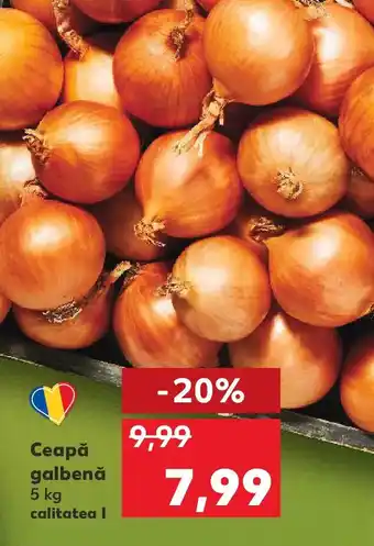 Kaufland Ceapă galbenă Ofertă