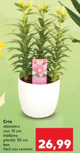 Kaufland Crin Ofertă