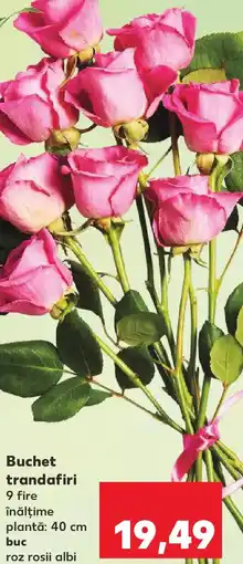 Kaufland Buchet trandafiri Ofertă
