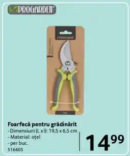Selgros Foarfecă pentru grădinărit Ofertă