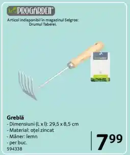 Selgros Greblă Ofertă