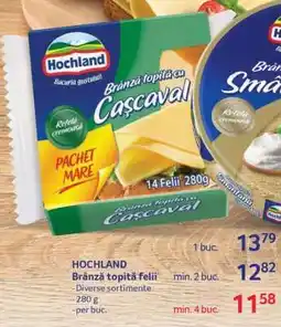 Selgros HOCHLAND Brânză topită felii Ofertă