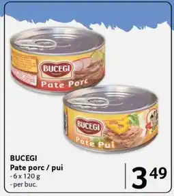 Selgros BUCEGI Ofertă