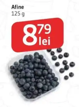Supeco Afine Ofertă