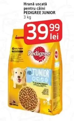 Supeco PEDIGREE Junior Hrană uscată pentru câini Ofertă