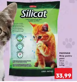 Kaufland PADOVAN Nisip pentru pisici Ofertă