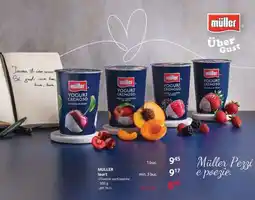 Selgros Müller Iaurt Ofertă