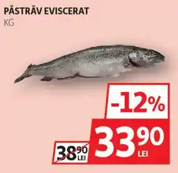 Auchan Păstrăv eviscerat Ofertă
