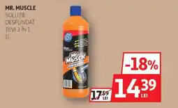Auchan MR. MUSCLE Soluție desfundat tevi 3 în Ofertă