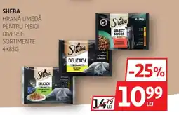 Auchan SHEBA Hrană umedă pentru pisici Ofertă