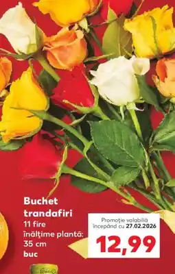 Kaufland Buchet trandafiri Ofertă