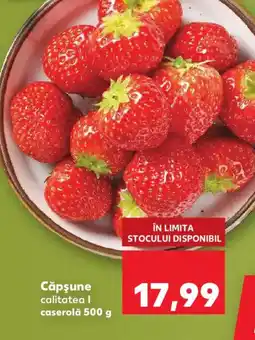 Kaufland Căpşune Ofertă