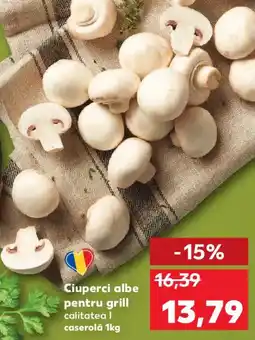 Kaufland Ciuperci albe pentru grill Ofertă