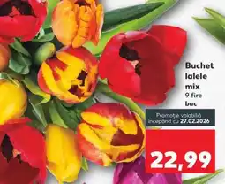 Kaufland Buchet lalele mix Ofertă